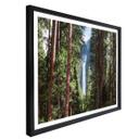 Plakat - Colombo - Waterfall forest