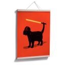 Plakat - Nicebleed - Cat Vader