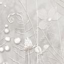 Bloemen Fotobehang - planten in wit in een modern ontwerp - Ms Tiff