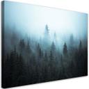 Canvasbillede, Skov i tåge