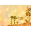 Livingwalls papier peint photo ARTist Palm Oasis avec palmiers jaune, orange