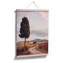 Plakat - Colombo - Cypress Path
