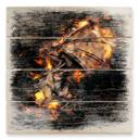 Cuadro de madera Fireflight - 40x41,5 cm