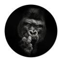 Plakat Meermann - Gorilla