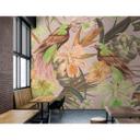Livingwalls Fototapet Walls by Patel 2 exotic birds 2