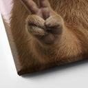 Canvasbillede Peace Capybara