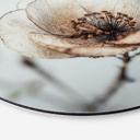 Billede af tørret blomst beige natur poesi - Treechild - rund – print på aluminium (Alu-Dibond)