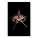 Alu-Dibond Kopereffect – Prima Ballerina