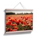 Poster Champ de coquelicots