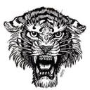 Cuadro de ventana Miami Ink Tiger b/n