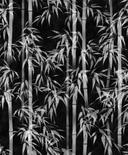 Papel pintado no tejido de color negro, blanco hojas de bambú naturaleza floral 