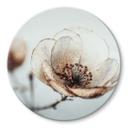 Glasbillede - Dry Blossom Beige Nature Poetry - Treechild - Round