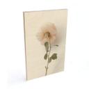 Cuadro de madera Annie - La rosa