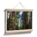 Plakat - Colombo - Waterfall forest