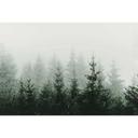 Livingwalls papier peint photo ARTist Mountain Forest