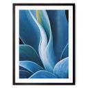 Póster Wechsler - Plantas Naturaleza muerta Agave