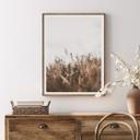Plakat - Annie - Meadow Grass