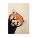 Træbillede Rød Panda - Korenkova