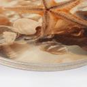 Cuadro de madera con conchas en una playa soleada - Treechild - Redondo
