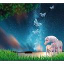 Fototapet Unicorns Night Sky - 288x260 cm