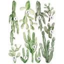 Sticker mural Cactus Set XXL (10 stickers)