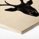 Hexagone - Bois placage de bouleau Ireland - Cerf noir