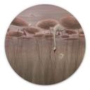 Houten Wanddecoratie lotusbloemen met zwaan in het water in donkerroze - Ms Tiff - Rond
