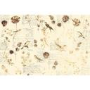 Architects Paper Papier peint photo Atelier 47 Bird Poetry motif animalier