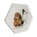 Hexagon Dibond Braun - Bunny Love
