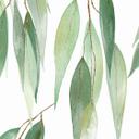 Fotomural Ramitas con hojas verdes - UN Designs