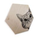 Hexagon berkenfineer - Graves - Sneaky Cat