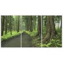 3 stykke lærredstryk, skovvej træer natur