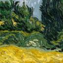 Fototapet Van Gogh - Hvedemark med cypresser