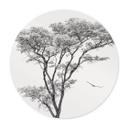 Póster Árbol minimalista en un paisaje tranquilo - Harina - Redondo