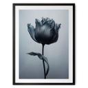Póster tulipán aterciopelado en negro - Paksoylu