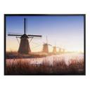 Póster Pablo - Kinderdijk 4
