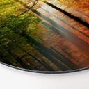 Tableau en alu Dibond - Automne doré - Rond