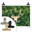 Póster Escondite en el bosque