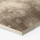 Zeshoekige Houten Wanddecoratie paardenbloemen droom in beige - Ms Tiff