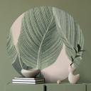 Vinilo decorativo Calathea - Sisi & Seb - Redondo