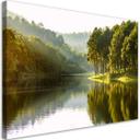 Canvasbillede, landskab skov træ natur