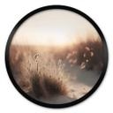 Plakat Treechild - solnedgang over klitterne