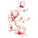 Wallsticker Kvilis - Magnolia 01