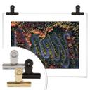 Póster Amer - La vista desde arriba: Curvas en el bosque
