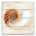 Cuadro de madera Nautilus - 40x41,5 cm