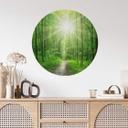 Muursticker rond Sunny Forest