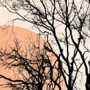 Fototapet Sol og måne i orange - Kubistika