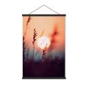 Póster de tela Hierbas a la luz del sol resplandeciente - Treechild