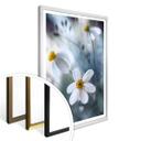 Póster Disher - La flor blanca