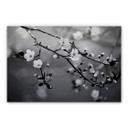 Tableau en alu-Dibond Éveil du printemps